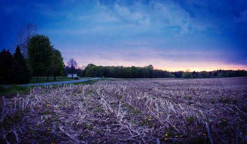 Scenic view of field against sky