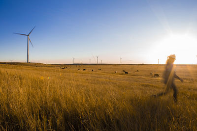 Female wind farm operator walks past wind turbines at sunset