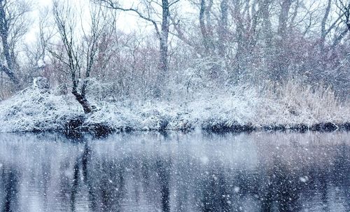 Reflection of bare trees in lake against sky