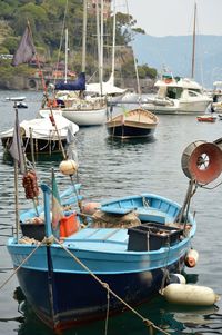 Boats moored at harbor