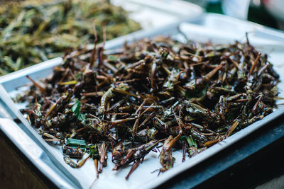 Close-up of food on table