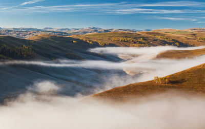 Scenic view of trees on foggy landscape against sky