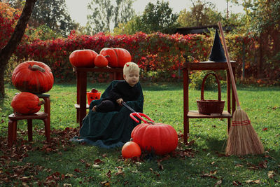 Rear view of boy sitting by pumpkins against trees