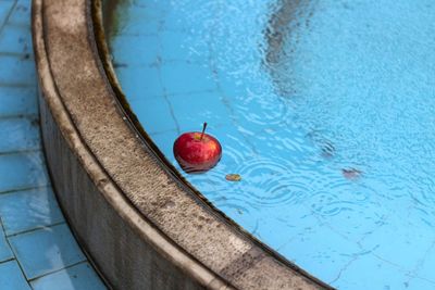 High angle view of red floating on water