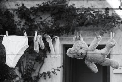 Clothes and teddy bear drying on clothesline