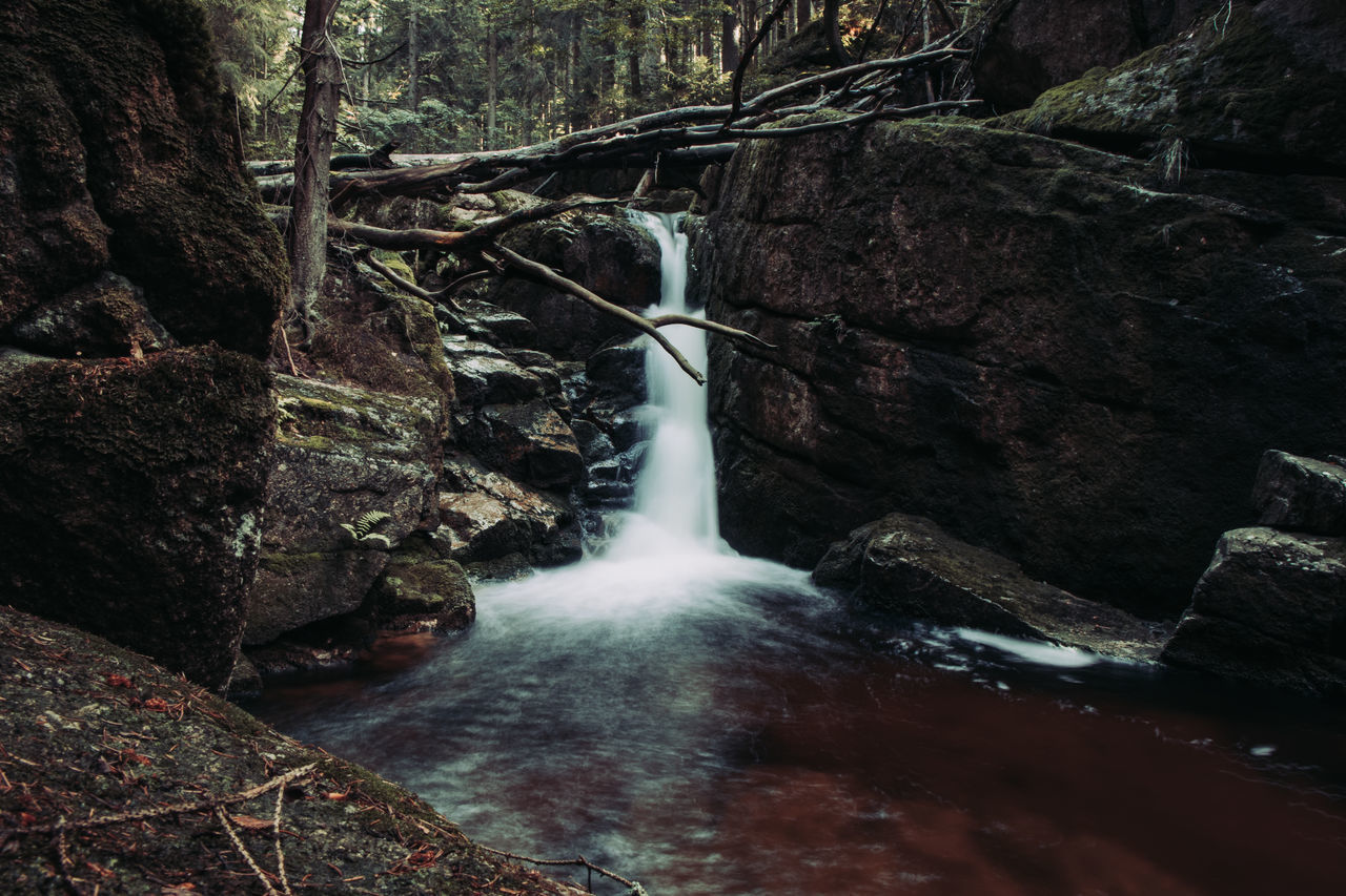 VIEW OF WATERFALL IN FOREST