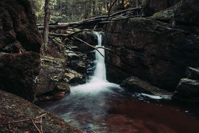 Waterfall in forest