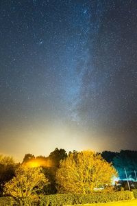 Scenic view of trees against star field at night