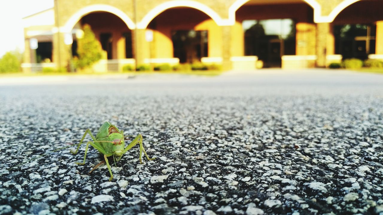 SURFACE LEVEL OF BUILT STRUCTURES