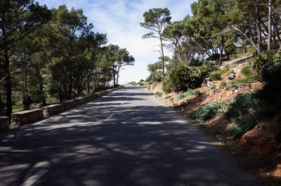 Road amidst trees in forest against sky