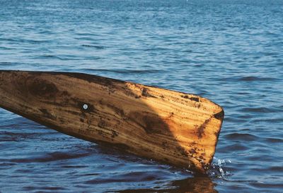 Close-up of wood against sea