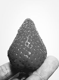 Close-up of object over white background