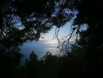 Silhouette trees by sea against sky