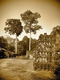 Built structure with trees in background