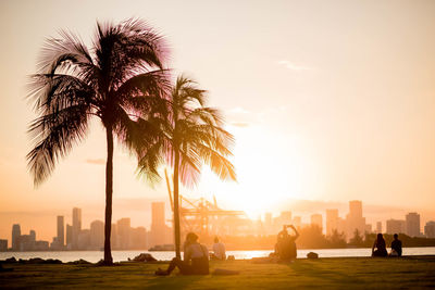 Silhouette palm trees against sky during sunset