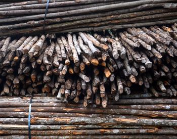 Close-up of wooden logs