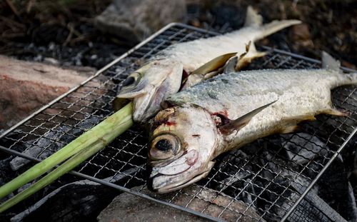 High angle view of fish on barbecue grill