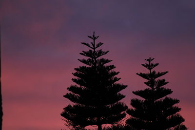 Low angle view of silhouette tree against sky at sunset