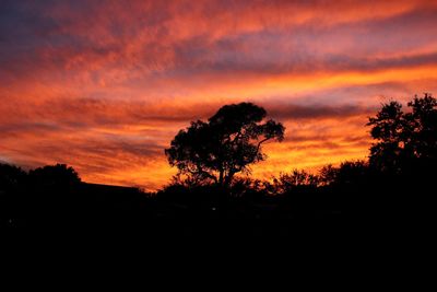 Silhouette trees against dramatic sky during sunset