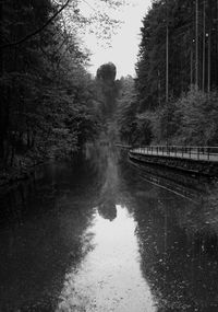 Scenic view of lake amidst trees in forest