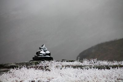 Scenic view of snow covered landscape