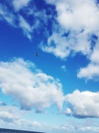 Low angle view of bird flying in sky
