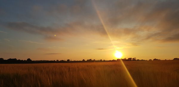 Scenic view of field against sky during sunset