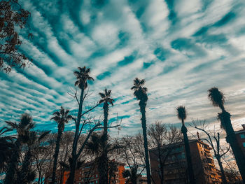 Low angle view of silhouette palm trees against sky