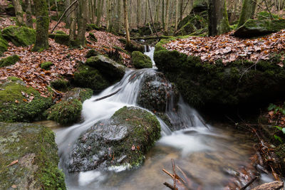 View of waterfall in forest