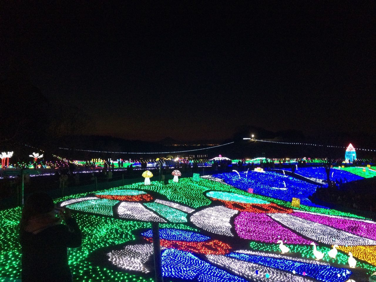 illuminated, night, multi colored, copy space, colorful, green color, lighting equipment, high angle view, outdoors, decoration, no people, clear sky, sky, abundance, pattern, built structure, large group of objects, in a row, architecture, variation