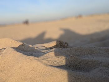 Close-up of sand dunes at beach against sky