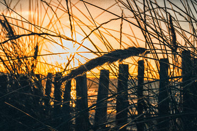 High section of silhouette fence in front of orange sunset
