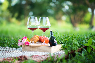 View of red wine in glass on field