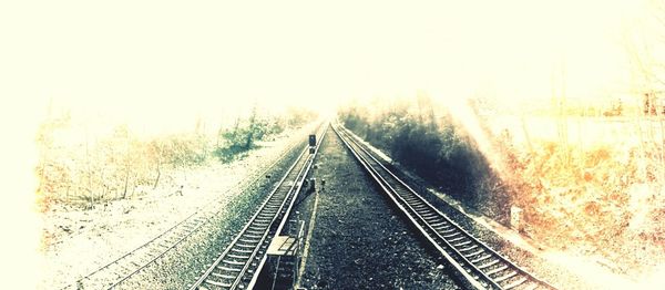 Railroad tracks