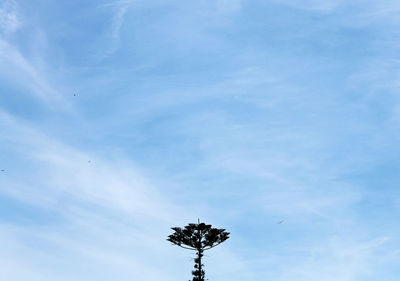 Low angle view of tree against sky