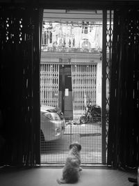 Man looking through window