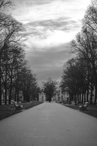 Road amidst trees against sky in city