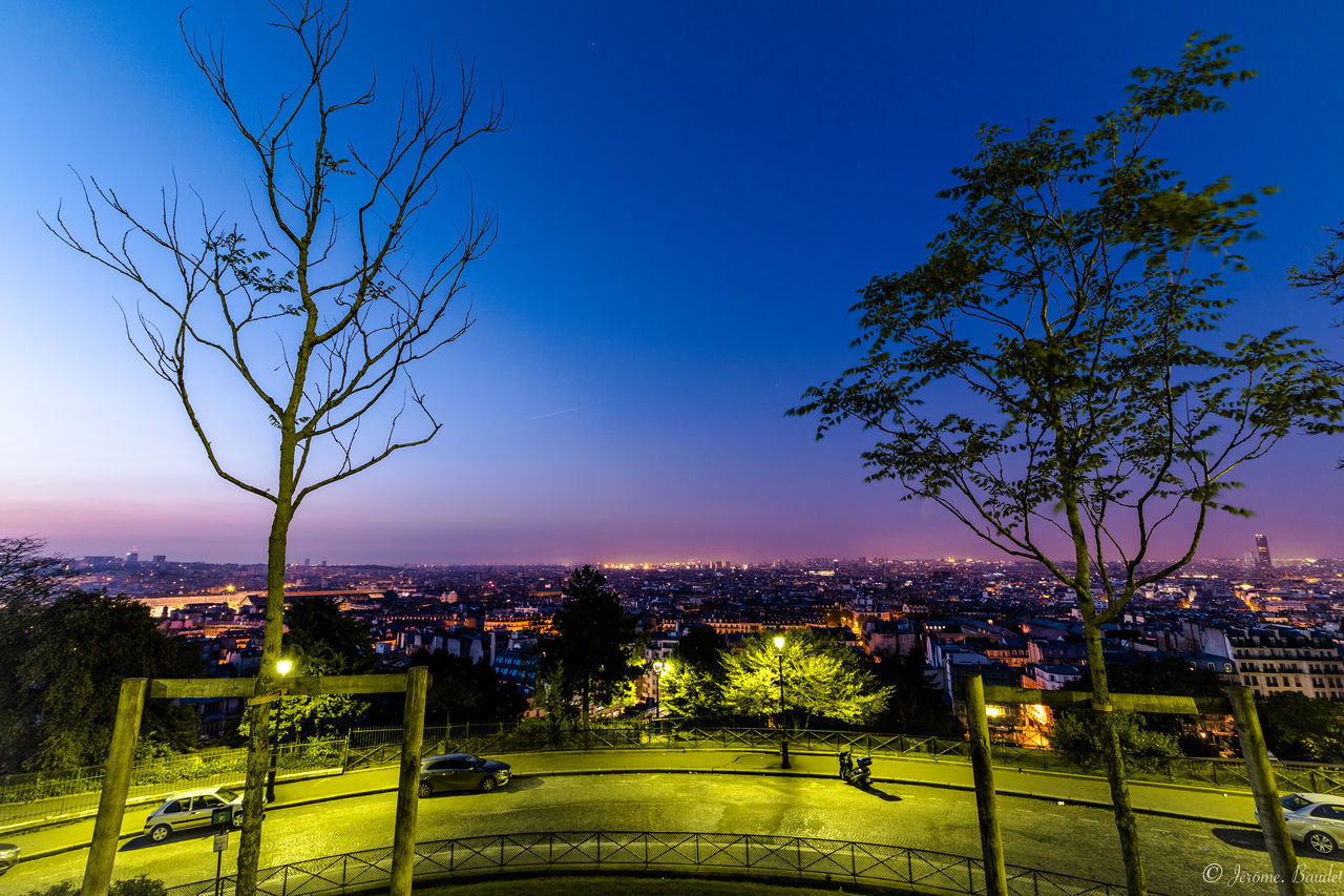 tree, sky, plant, architecture, building exterior, built structure, nature, no people, city, bare tree, branch, beauty in nature, sunset, illuminated, blue, dusk, outdoors, growth, scenics - nature, lighting equipment