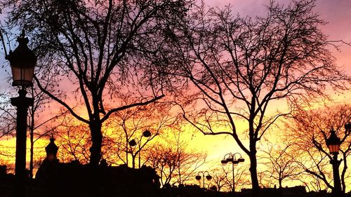 Silhouette of bare tree against sky at sunset