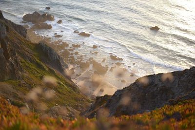 Scenic view of beach