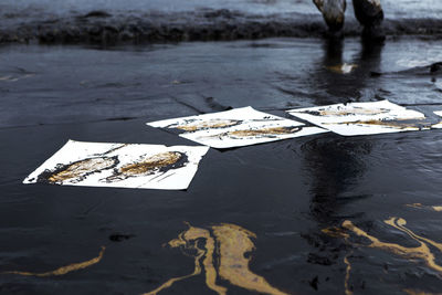 Absorbent paper used for lining clean up oil from crude oil spilled