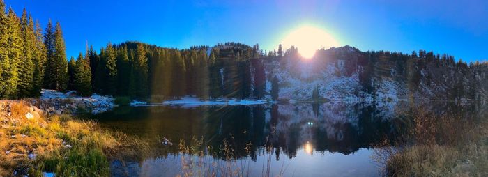 Scenic view of lake in forest during sunset