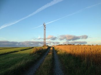 Footpath amidst grassy field against sky