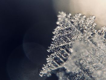 Close up of ice crystal