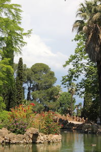 Trees by rocks against sky