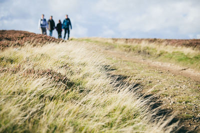 Grassy field against hikers walking in background