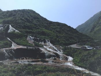 Low angle view of trees against clear sky