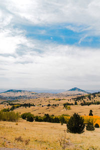 Scenic view of landscape against sky