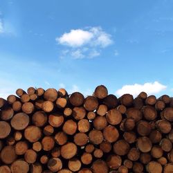 Stacks of logs against sky