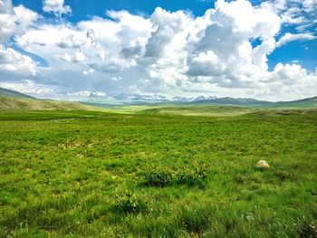 Scenic view of landscape against sky